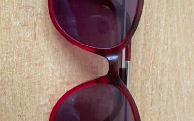 LUNETTES PERDUES A LA FETE DU JEU A VISSEICHE