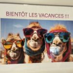 deco ete accueil 2025 7
